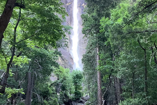 I love National Parks and Nature